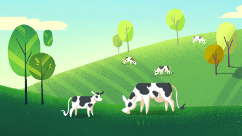 100% organic lactose free milk